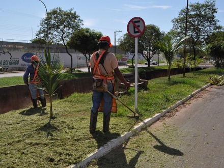 Limpeza � realizada nos canteiros da Avenida Durval 