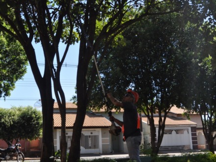 Podas de �rvores s�o feitas na Pra�a da Paz