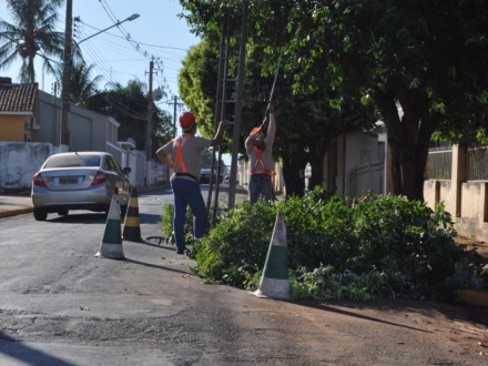 Prefeitura efetua podas de �rvores na Visconde de Taunay 