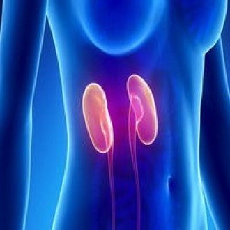 Sa�de do munic�pio abre credenciamento para especialidade m�dica