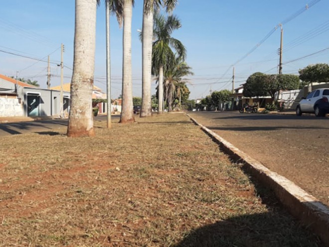 Avenida Getúlio Vargas recebe limpeza dos canteiros e poda Avenida Getúlio Vargas recebe limpeza dos canteiros e poda