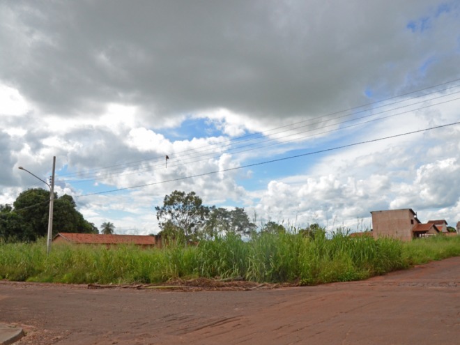 Prefeitura multará donos de terrenos abandonados Prefeitura multará donos de terrenos abandonados