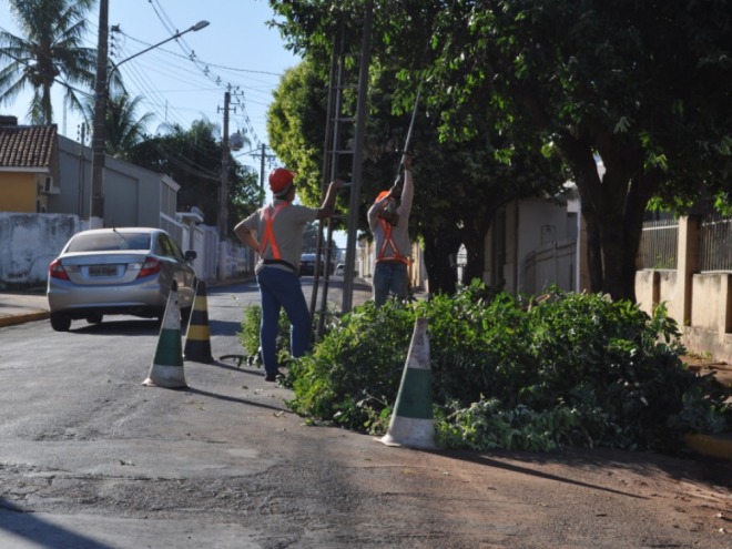 Prefeitura efetua podas de �rvores na Visconde de Taunay 