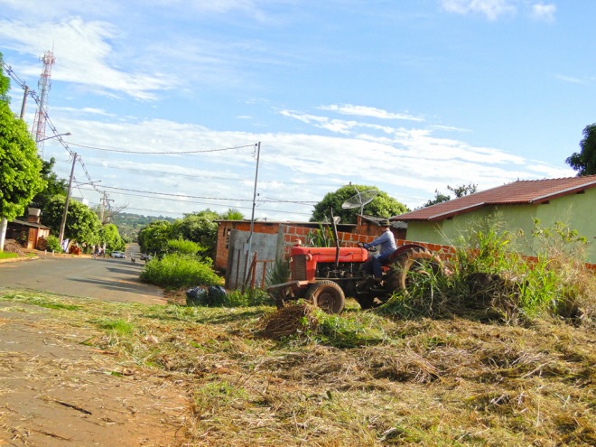 Prefeitura limpa terrenos para combater Aedes Aegypti Prefeitura limpa terrenos para combater Aedes Aegypti
