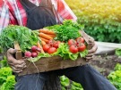 Prefeitura fará credenciamento da Agricultura Familiar até dia 9 de junho