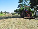 Terrenos s�o limpos no Ip� Branco