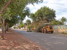 Prefeitura come�ar� mutir�o de limpeza no munic�pio