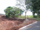 Limpeza � realizada na Rua Capit�o Altino