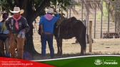 2� Cavalgada de Taunay - Almo�o Fazenda Chico Zocal