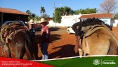 2� Cavalgada de Taunay - Preparativos Iniciais