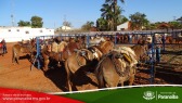 2� Cavalgada de Taunay - Preparativos Iniciais