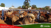 2� Cavalgada de Taunay - Preparativos Iniciais