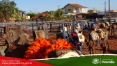 2� Cavalgada de Taunay - Preparativos Iniciais