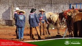 2� Cavalgada de Taunay - Preparativos Iniciais