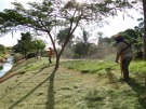Prefeitura realiza servi�os de limpeza em c�rrego 