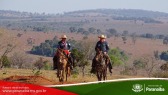 2� Cavalgada de Taunay - 3� Trecho - At� Fazenda Verde Esperan�a (Lenito Faustino)
