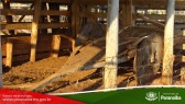 2� Cavalgada de Taunay - 3� Trecho - At� Fazenda Verde Esperan�a (Lenito Faustino)