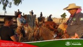2� Cavalgada de Taunay - 3� Trecho - At� Fazenda Verde Esperan�a (Lenito Faustino)