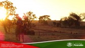 2� Cavalgada de Taunay - 3� Trecho - At� Fazenda Verde Esperan�a (Lenito Faustino)