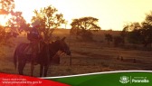 2� Cavalgada de Taunay - 3� Trecho - At� Fazenda Verde Esperan�a (Lenito Faustino)