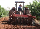 Prefeitura beneficia agricultores com  gradea��o do solo 