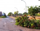 Manutenção da Avenida Durval Rodrigues Lopes
