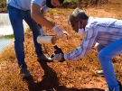 Meio Ambiente solicita análises laboratoriais do Aterro Sanitário Municipal. 