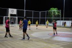 Ver�o Ativo - �lbum V