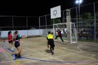 Ver�o Ativo - �lbum V