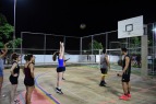 Ver�o Ativo - �lbum V